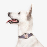 Biothane 項圈 粉晶水晶項圈 - 淡紫霧(Rose Quartz)